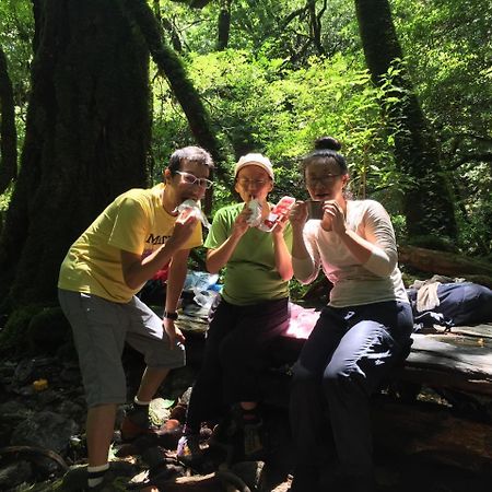 Yakushima Youth Hostel Exterior photo